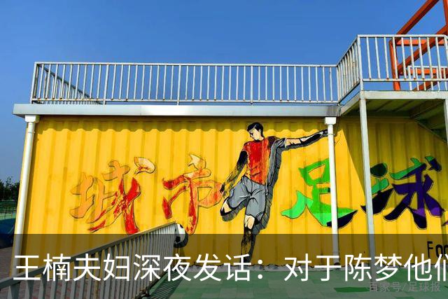 王楠夫妇深夜发话：对于陈梦他们不再慷慨，金牌归属再惹争议